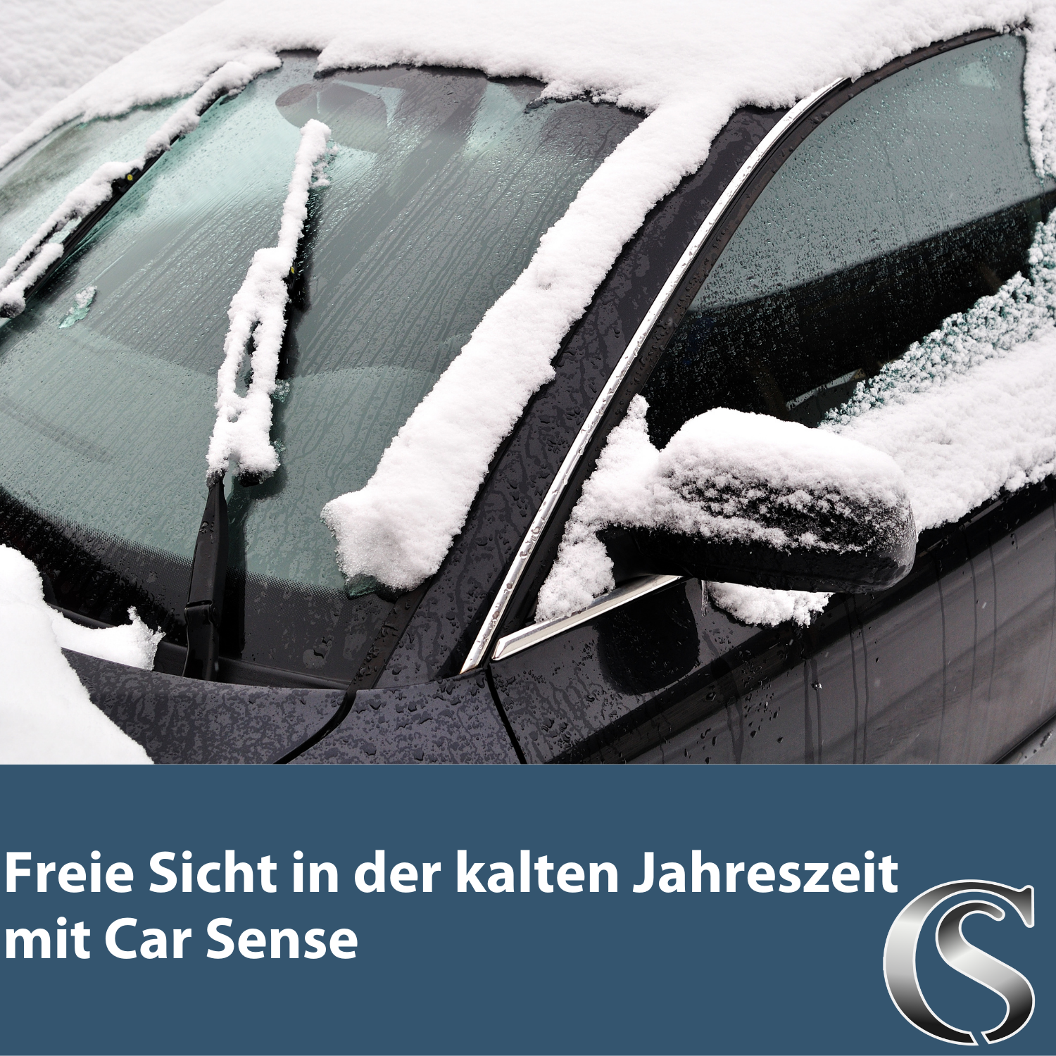 Car Sense Scheibenfrostschutz Konzentrat Winter