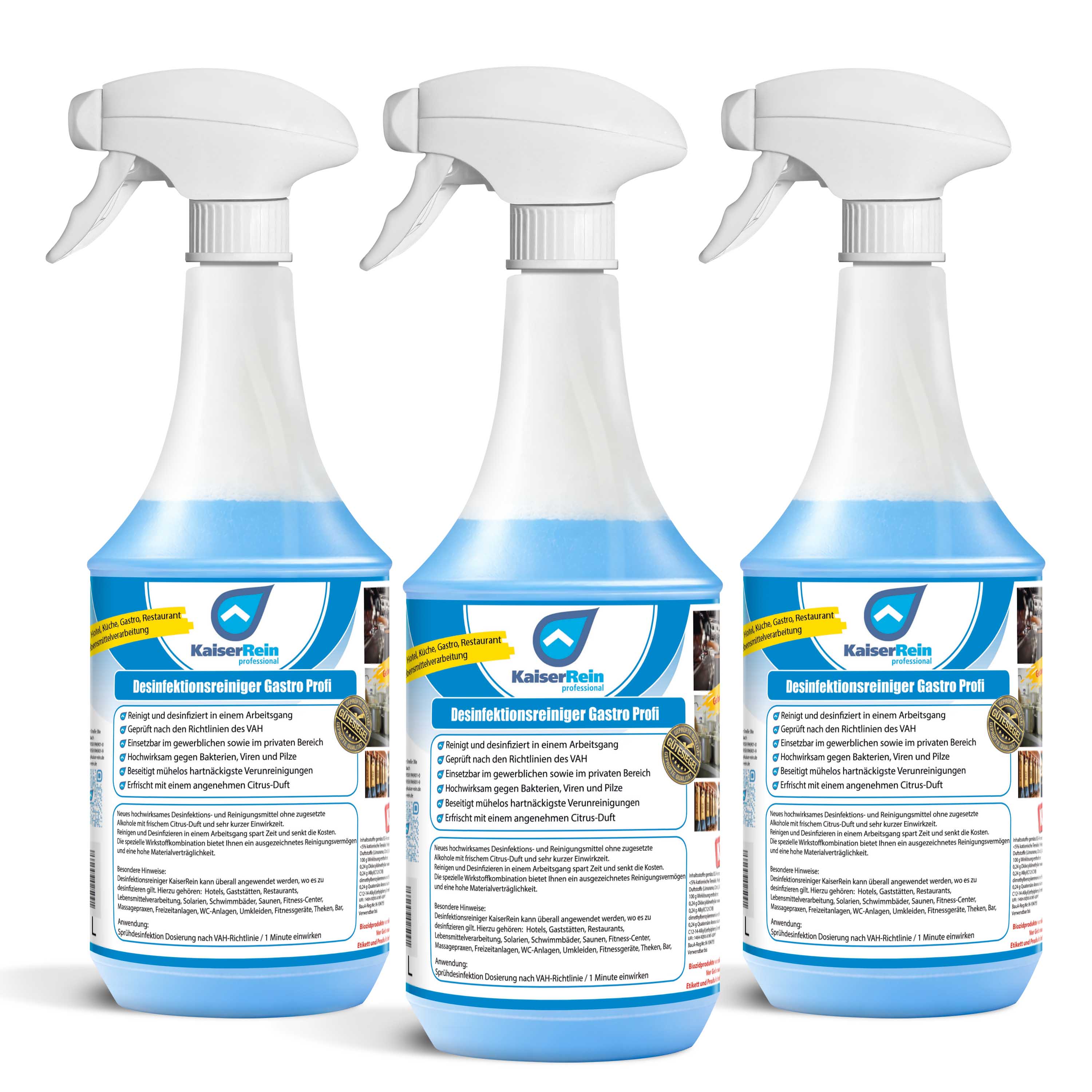 Profi Desinfektions Reiniger Gastro 1000 ml
