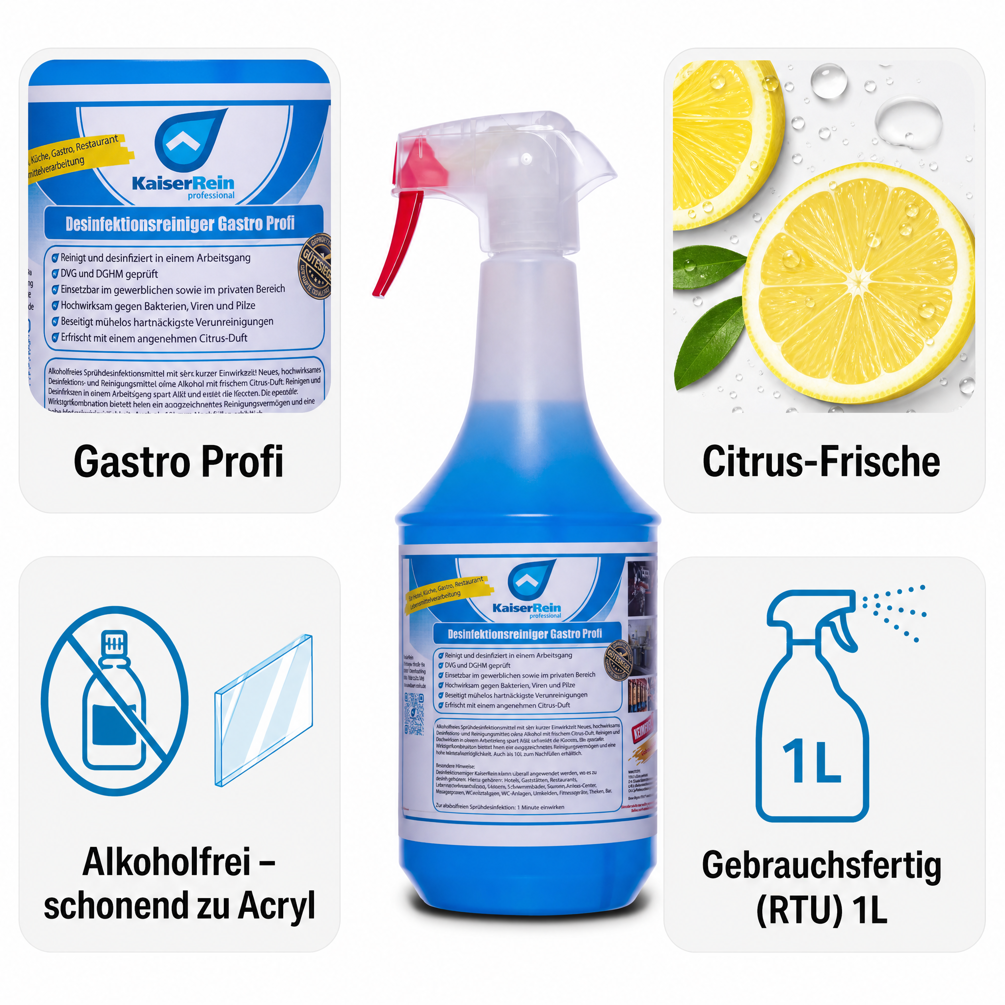 Profi Desinfektions Reiniger Gastro 1000 ml
