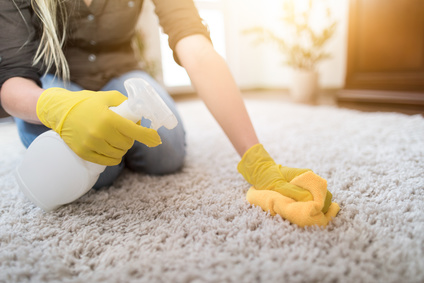 Teppich -Polstershampoo schaumverstärkt 1L Konzentrat mit Leerflasche